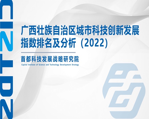 欧美操逼xxx【成果发布】广西壮族自治区城市科技创新发展指数排名及分析（2022）